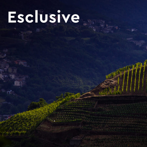 Esclusive di Tannico