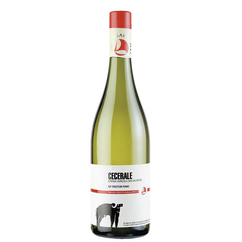 Paestum Fiano IGP "Cecerale" 2022 - San Salvatore 1988