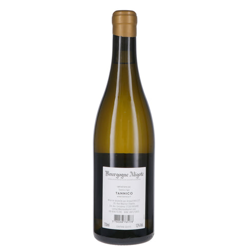 Bourgogne Aligoté AOC "Les Aures" 2022 Magnum - Arnaud Baillot