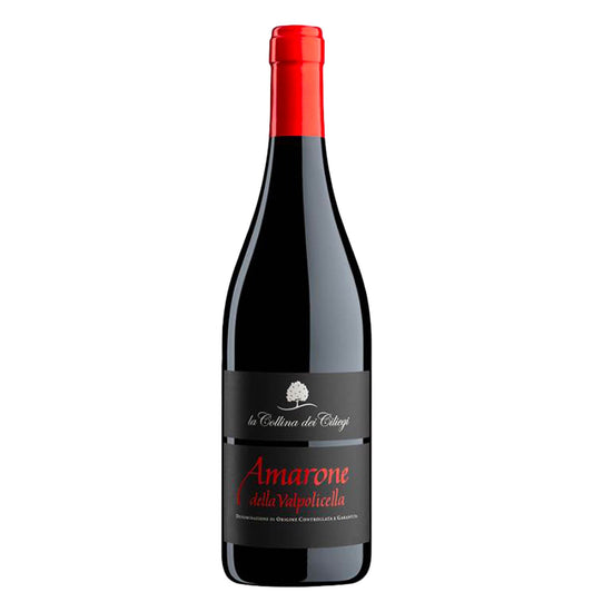 Amarone della Valpolicella DOCG 2019 - La Collina dei Ciliegi