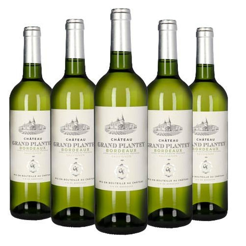 Bordeaux Blanc Sauvignon AOP 2023 - Château Grand Plantey (6 bottiglie)
