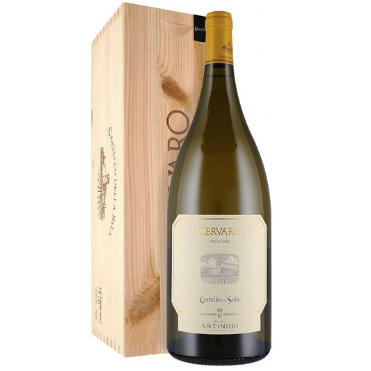 Umbria Bianco IGT "Cervaro della Sala" 2022 Magnum - Castello della Sala (cassetta di legno)