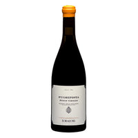 Vigneti delle Dolomiti Pinot Grigio IGT "Fuoripista" 2024 - Elisabetta Foradori