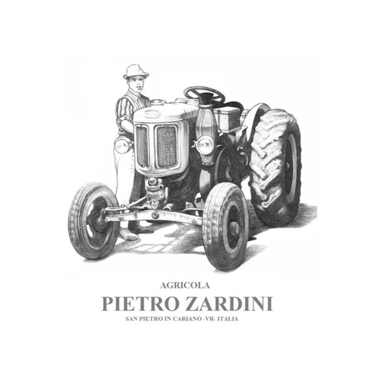 Amarone della Valpolicella DOC "Pietro Junior" 2018 - Pietro Zardini