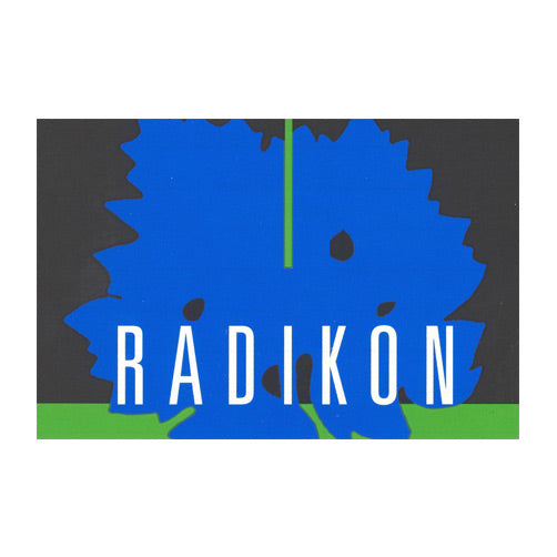 Venezia Giulia Bianco IGT "Jakot" 2019 - Radikon (1l)