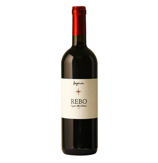 Vigneti delle Dolomiti Rebo IGT 2022 - Fagarini